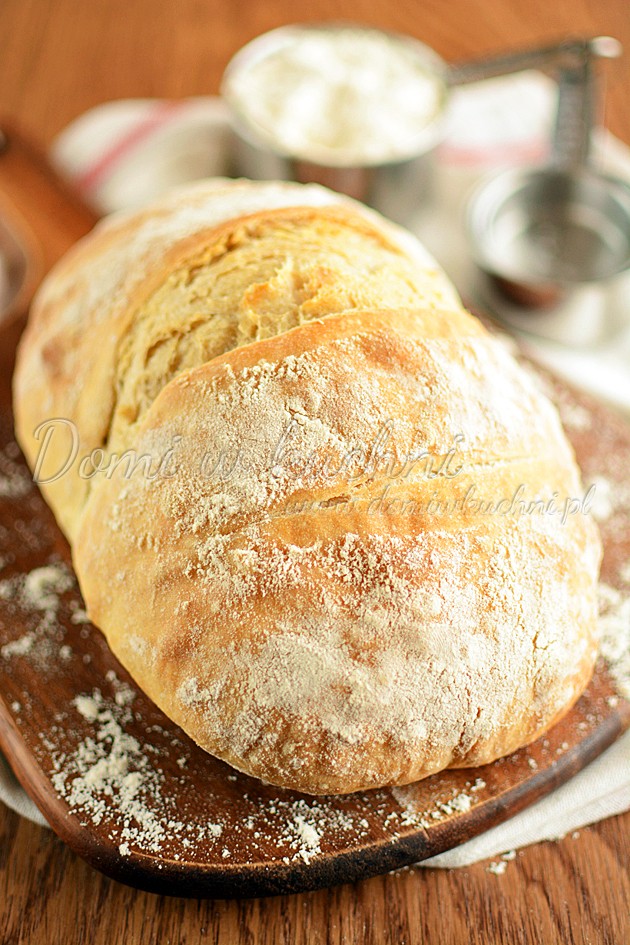 WBD 2014 – No knead artisan bread