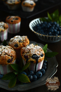blueberry muffins3